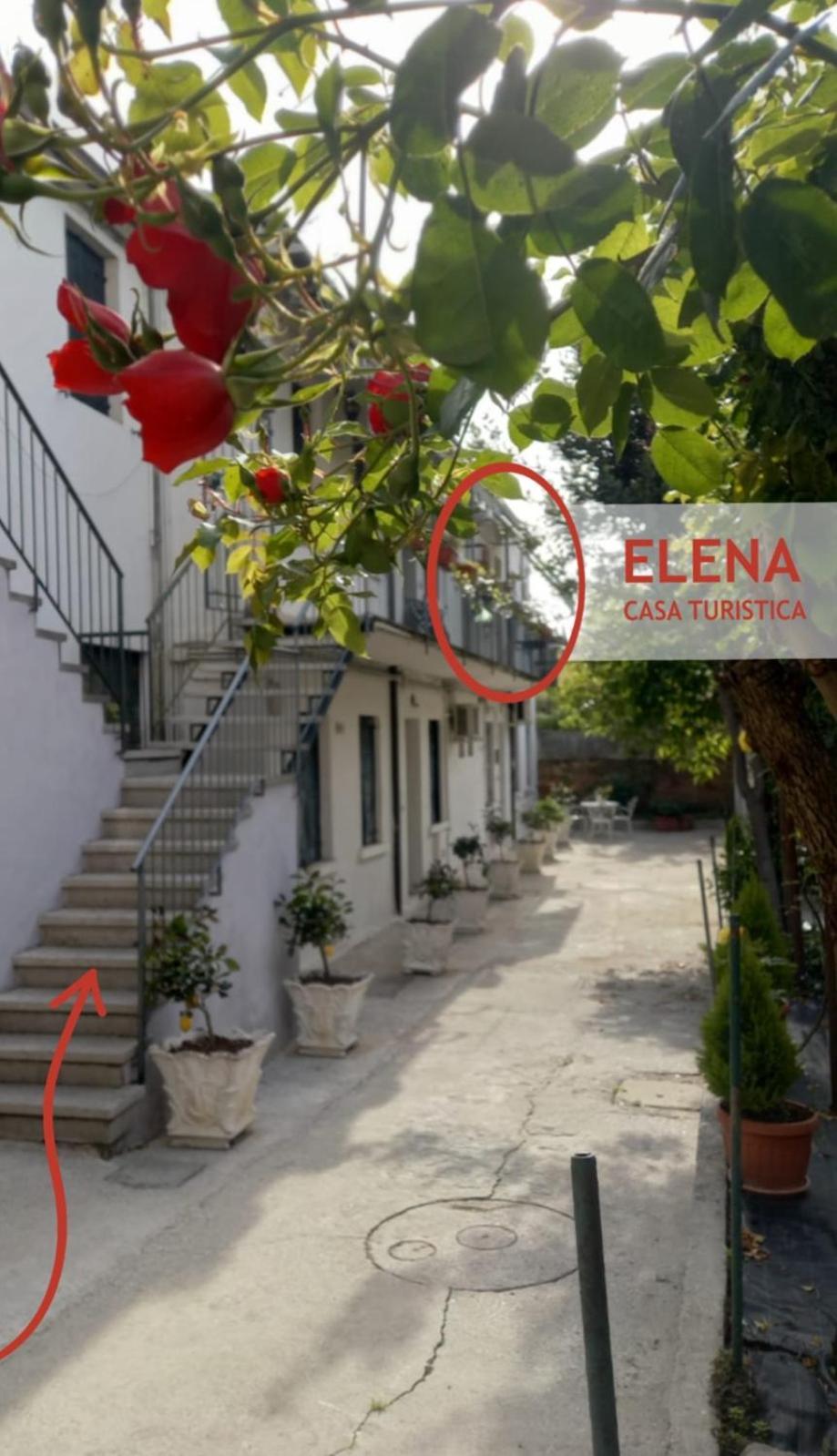 Elena Casa Turistica Lägenhet Padua Exteriör bild